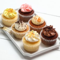 Photo2: Assortment Selection (x24) (2)