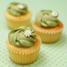 Photo1:  Matcha Cupcakes (×6) (1)