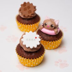 Photo2: Cat Cupcake Box(Cute|6pcs|Choco) (2)