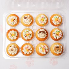 Photo2: Mini Cat Box (12 Vanilla) (2)