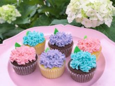 Photo2: Hydrangea cupcakes Box(6pcs) (2)