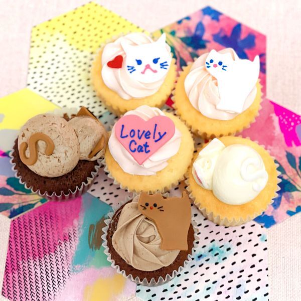 Photo1: Cat cupcake box (1)